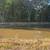 4 Properties Buncombe, Ware, & Jonesboro Online Real Estate Auction 4 thumbnail