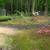 TREE REMOVAL & TREE TRIMMING IN DURHAM, NC | STUMP GRINDING | FREE EST 24 thumbnail