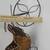 Decorative Tricycle with basket NWT 5 thumbnail