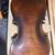 Violin 5 thumbnail