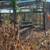 Chicken pend 1 thumbnail