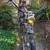 CUSTOM MOTORIZED BICYCLE VINTAGE 21 thumbnail