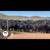 Cattle 3 thumbnail