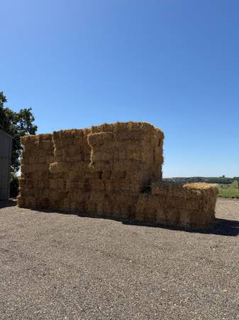 Wheat Hay 1