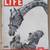 '40s & '50s LIFE MAGAZINES/ 80's & 90' magazines/ educational print 7 thumbnail