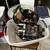 Drum set 1 thumbnail
