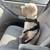 Standard Schnauzer 1 thumbnail