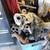 Husky,Honda, Yamaha, Suzuki rtc parts 16 thumbnail