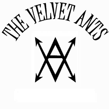 Keyboardist/Vocalist wanted for Alternative Band (Originals) (Waltham)