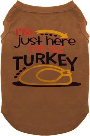 Dog Shirt for Pet Clothes Halloween Skeleton Hoodies Glowing Skull Cut 1