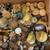 Antique Knobs Handles - Wood Metal Glass Porcelain Etc… 3 thumbnail