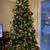 Christmas Tree- 9’ 1 thumbnail