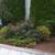 Pro Gardener* Fall Clean-up, Shape-up & Weeding 10 thumbnail