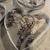 wine barrel metal signs 2 thumbnail