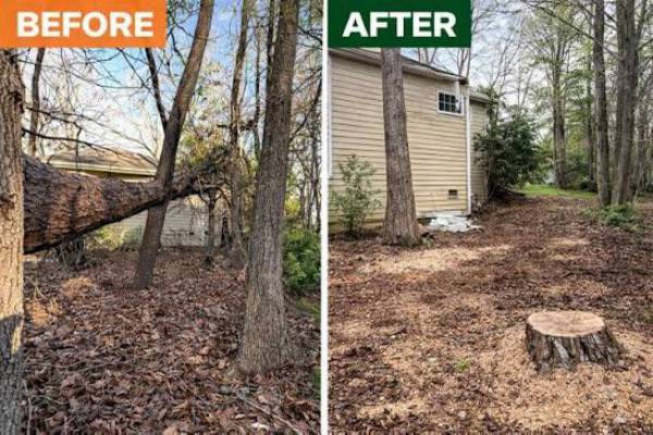 EMERGENCY TREE REMOVAL 1