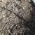 Compost 3 thumbnail
