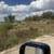 CHELE RD - $46900 9 thumbnail