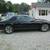 1991 Pontiac Firebird BASE 6 thumbnail