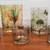 Glass Botanical Vases + Candle Holders 2 thumbnail