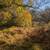 4+ AC w/ Creek 24 thumbnail