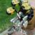 Vintage Wilson Staff Gold Clubs, Bag & Caddy 1 thumbnail