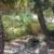 Sundeck, Off Street Parking, Pool 5 thumbnail