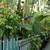 Garden Room Atwater Village $1525 5 thumbnail