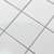 TILE & GROUT CLEANING, RECOVERING GROUT COLOR 6 thumbnail