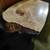 Live Edge Maple Side Table 1 thumbnail
