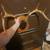 8 point deer antlers 2 thumbnail
