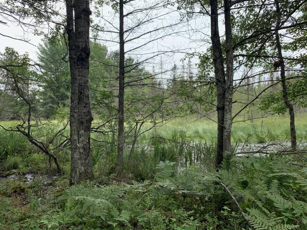 $599,900 LAND . . . 80 acres! (Hately)63845965641475124