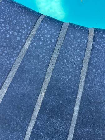 stripping sealer 1