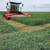 Beardless Wheat Hay - 14.5% rounds 11 thumbnail