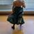 Banpresto One Piece Roronoa Zoro Memory Figure 6 thumbnail