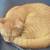 Two playful 7 months old kittens for sale. 2 thumbnail