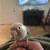 Green cheek conure mutations 1 thumbnail