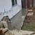 Concrete, pavers, and artificial turf 13 thumbnail