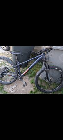 Diamondback 1