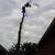 J&E Tree Services LLC 4 thumbnail