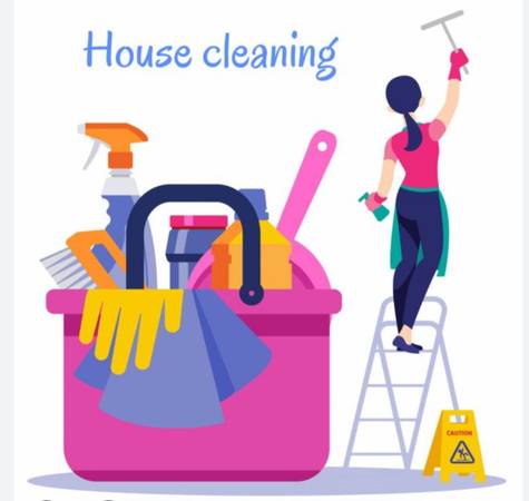 House cleanig 1