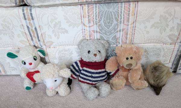 Stuffed Animals 1