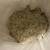 Floor Epoxy Chips - White And Beige. Two, 5 Gallon Pails 2 thumbnail