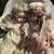 Collectable dolls 1 thumbnail