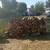 Firewood Red Oak, White Oak, Hickory 4'x8' Rik 1 thumbnail