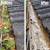 LIMB TRIMMING GUTTER CLEANING ROOF REPAIRS 5 thumbnail