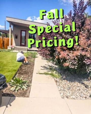 Yard Cleanups, Weed Removal, Tree & Bush Trimming, Debris Hauling, Fence Repair  1