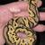 Ball python 8 thumbnail