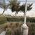Landscaping 13 thumbnail