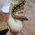 Mojave ball python 3 thumbnail