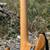 1990 prototype Washburn N4 Nuno Bettencourt 1 of a kind 6 thumbnail